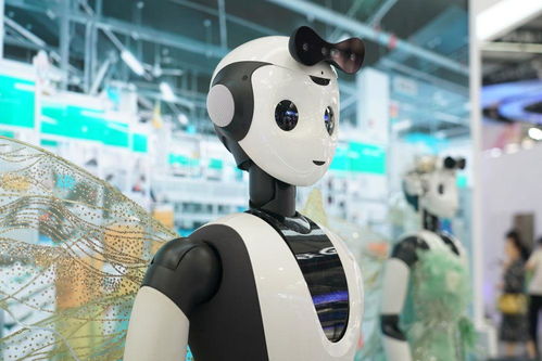 鏡觀服貿(mào)會 中國智造服務(wù)世界——聚焦攝影攝像服務(wù)新高度