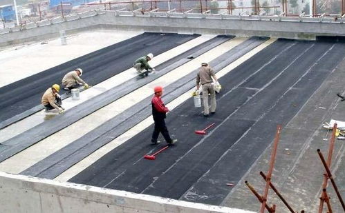 青浦區(qū)外墻防水服務(wù)與建筑勞務(wù)分包 同心協(xié)力，共筑品質(zhì)