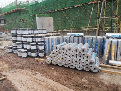 機(jī)場口岸新防線 科順助力打造國際健康服務(wù)中心，構(gòu)筑平安國門